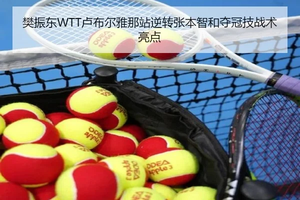 樊振东WTT卢布尔雅那站逆转张本智和夺冠技战术亮点