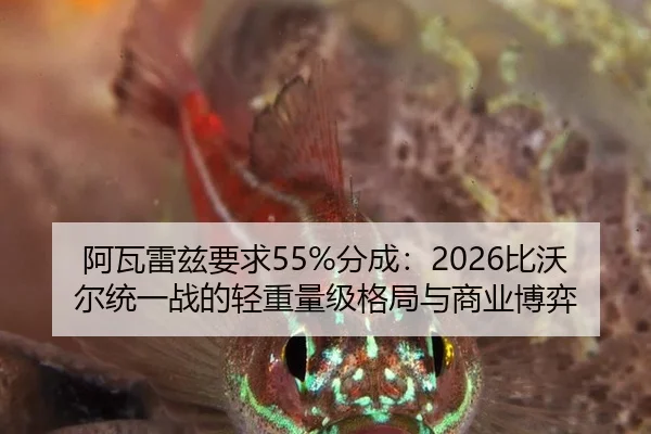a-wa-lei-zi-yao-qiu-fen-cheng-bi-wo-er-tong-yi-zhan-de-qing-zhong-liang-ji-ge-ju-yu-shang-ye-bo-yi-2-253.jpg