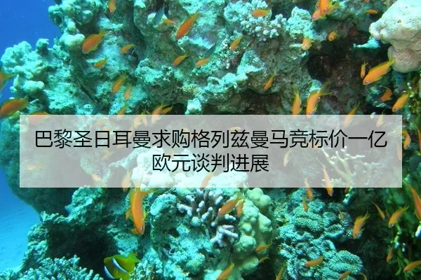 ba-li-sheng-ri-er-man-qiu-gou-ge-lie-zi-man-ma-jing-biao-jia-yi-yi-ou-yuan-tan-pan-jin-zhan-3-433.jpg