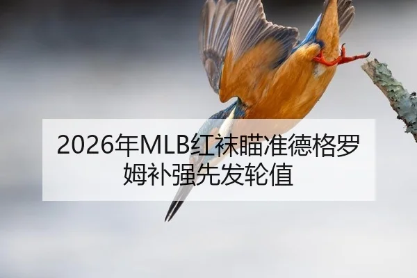 2026年MLB红袜瞄准德格罗姆补强先发轮值